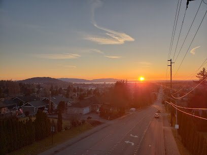 Sunset over Alabama Hill in Bellingham, showcasing a scenic view of homes, trees, and a road, highlighting local beauty and tranquility.